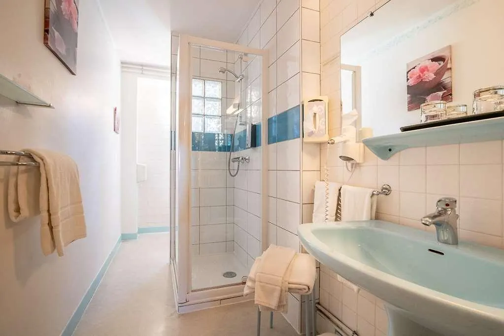 Hostellerie Des Cedres Villeneuve-de-Riviere Hotel